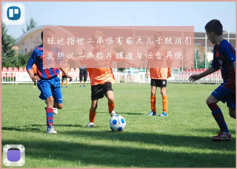 旺达指控二弟伤害前夫儿子败诉引发热议二弟怒斥捏造与诬告再现