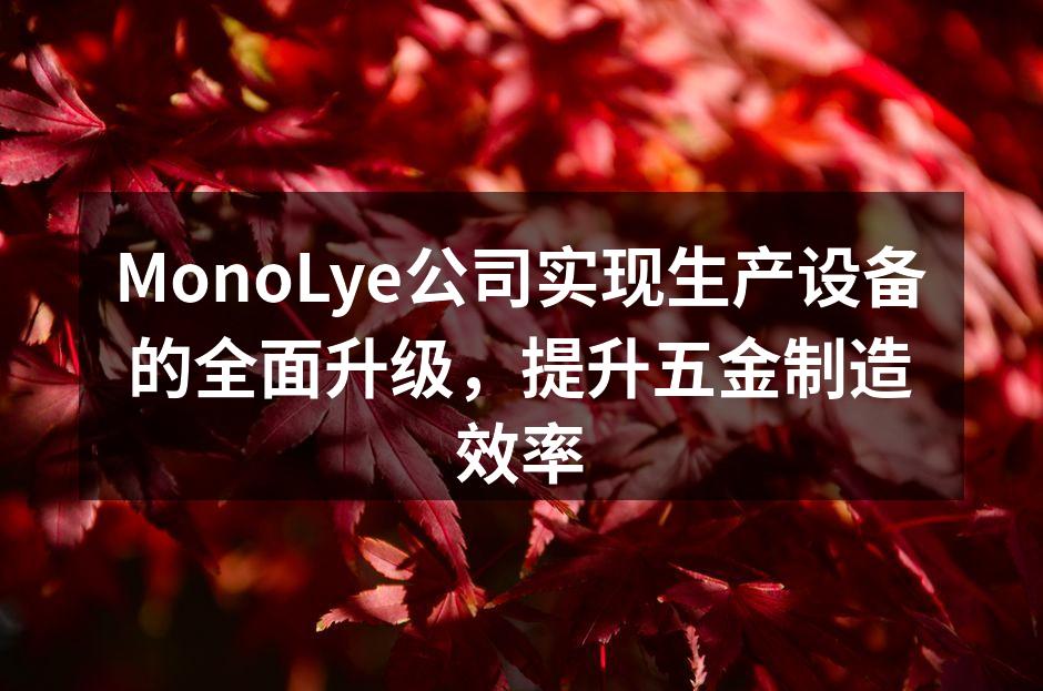 MonoLye公司新引进的智能数控机床