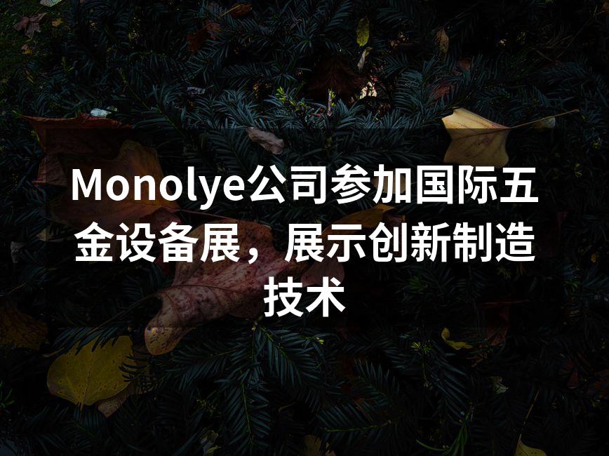 Monolye展台现场